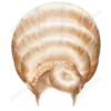 Зачіска 20